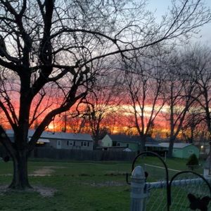 Meet your Posher, Mckinley